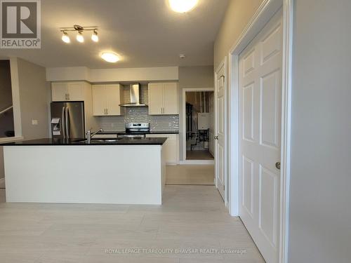 18 Oat Lane, Kitchener, ON - Indoor Photo Showing Kitchen With Upgraded Kitchen