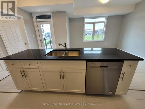 18 Oat Lane, Kitchener, ON - Indoor Photo Showing Kitchen With Double Sink