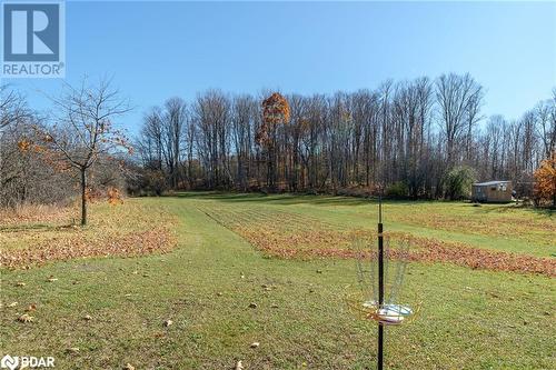 View of yard - 18133 Loyalist Parkway, Prince Edward County, ON - Outdoor