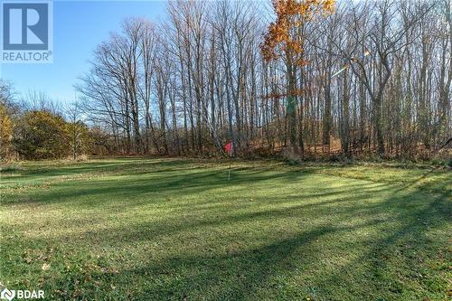 View of yard - 18133 Loyalist Parkway, Prince Edward County, ON - Outdoor