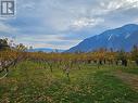 17 7Th Avenue, Keremeos, BC  - Outdoor With View 