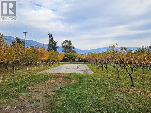 17 7Th Avenue, Keremeos, BC - Outdoor With View