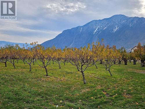 17 7Th Avenue, Keremeos, BC - Outdoor With View