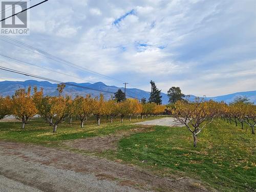 17 7Th Avenue, Keremeos, BC - Outdoor With View