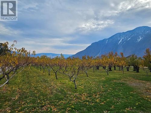 17 7Th Avenue, Keremeos, BC - Outdoor With View