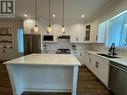 24288 101A Street, Maple Ridge, BC  - Indoor Photo Showing Kitchen With Double Sink With Upgraded Kitchen 