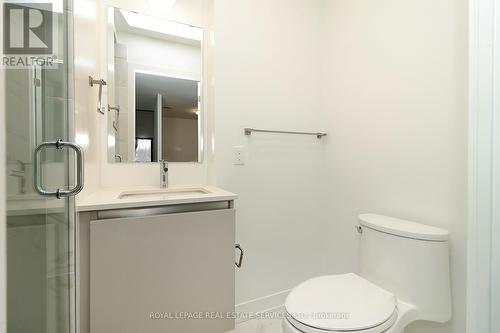 323 - 395 Dundas Street W, Oakville, ON - Indoor Photo Showing Bathroom