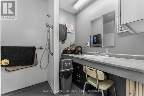 371 Niagara Street, Welland, ON - Indoor Photo Showing Bathroom