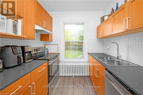 117 Fairleigh Avenue S, Hamilton, ON - Indoor Photo Showing Kitchen With Double Sink