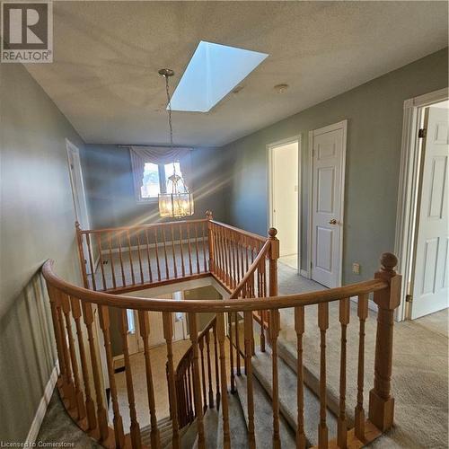 Staircase featuring a chandelier, a textured ceiling, a skylight, and carpet floors - 115 Cranston Avenue, Cambridge, ON - Indoor Photo Showing Other Room