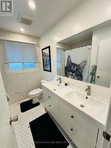 211 Ballantyne Avenue, Cambridge, ON - Indoor Photo Showing Bathroom