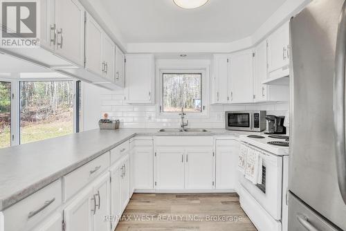 1183 Echo Lake Road, Lake Of Bays, ON - Indoor Photo Showing Kitchen With Double Sink