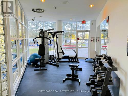 1108 - 25 Trailwood Drive, Mississauga, ON - Indoor Photo Showing Gym Room