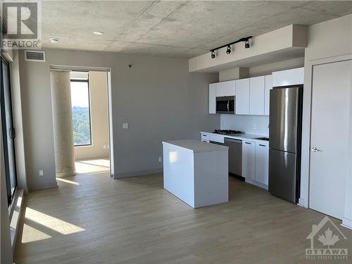 203 Catherine Street Unit#1301, Ottawa, ON - Indoor Photo Showing Kitchen With Stainless Steel Kitchen