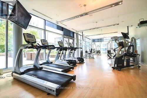 225 - 4K Spadina Avenue, Toronto, ON - Indoor Photo Showing Gym Room