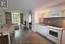 225 - 4K Spadina Avenue, Toronto, ON  - Indoor Photo Showing Kitchen 