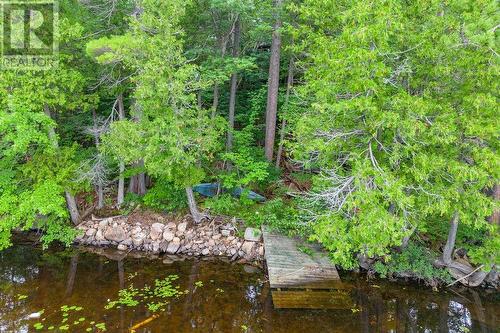 91 Bilsborrow Trail, Petawawa, ON - Outdoor With Body Of Water