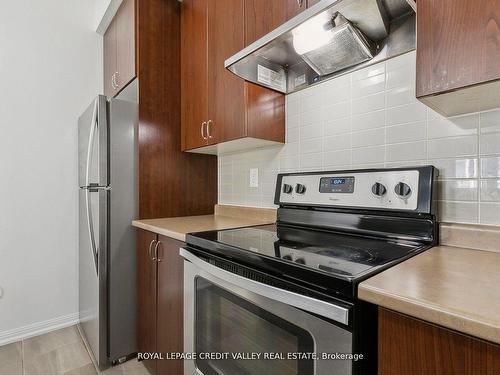 254-250 Sunny Meadow Blvd, Brampton, ON - Indoor Photo Showing Kitchen