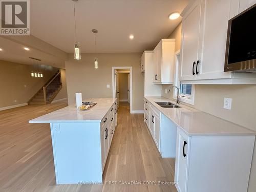 1561 Wright Crescent, London, ON - Indoor Photo Showing Kitchen With Double Sink