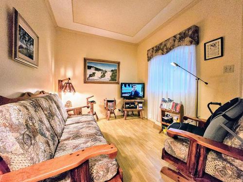 Salon - 800 Rue Nadeau, Shawinigan, QC - Indoor Photo Showing Living Room