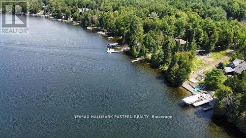 326 Indian Point Road, Kawartha Lakes (Coboconk), ON - Outdoor With Body Of Water