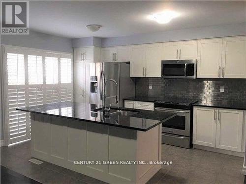 1048 Haxton Heights, Milton, ON - Indoor Photo Showing Kitchen With Stainless Steel Kitchen With Double Sink With Upgraded Kitchen