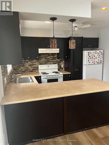 1038 Barnardo Avenue E, Peterborough, ON - Indoor Photo Showing Kitchen With Double Sink