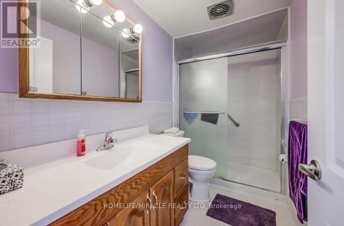 117 Loyalist Drive, Hamilton, ON - Indoor Photo Showing Bathroom