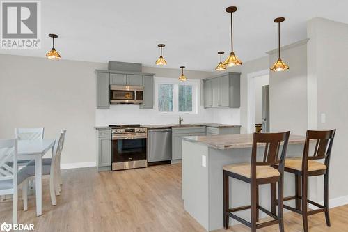 Kitchen with gray cabinetry, hanging light fixtures, light hardwood / wood-style floors, and stainless steel appliances - 530 Addington Road 5, Cloyne, ON - Indoor Photo Showing Kitchen With Upgraded Kitchen