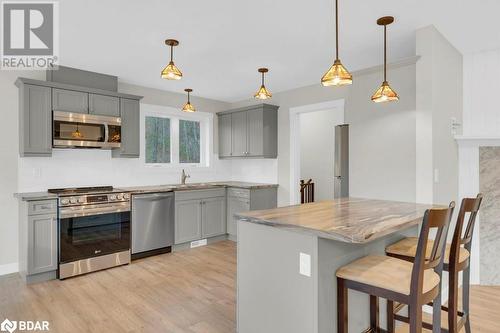 Kitchen with stainless steel appliances, backsplash, decorative light fixtures, gray cabinets, and light hardwood / wood-style floors - 530 Addington Road 5, Cloyne, ON - Indoor Photo Showing Kitchen With Upgraded Kitchen