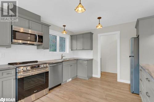 Kitchen featuring gray cabinetry, light wood-type flooring, appliances with stainless steel finishes, backsplash, and pendant lighting - 530 Addington Road 5, Cloyne, ON - Indoor Photo Showing Kitchen With Upgraded Kitchen