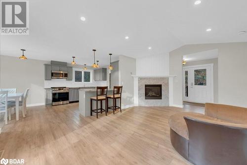 Living room with light hardwood / wood-style flooring and vaulted ceiling - 530 Addington Road 5, Cloyne, ON - Indoor With Fireplace