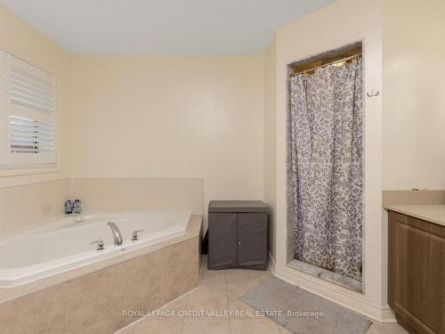 480 Downes Jackson Hts, Milton, ON - Indoor Photo Showing Bathroom