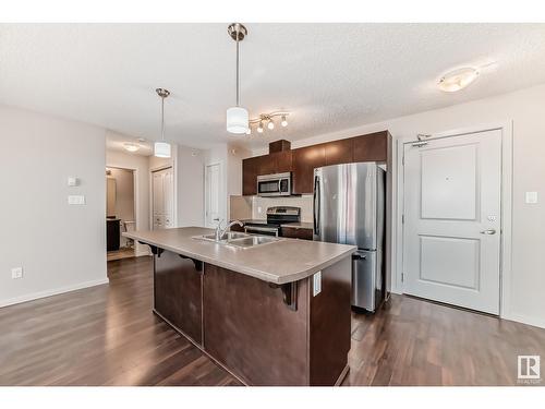 #429 344 Windermere Rd Nw, Edmonton, AB - Indoor Photo Showing Kitchen With Double Sink