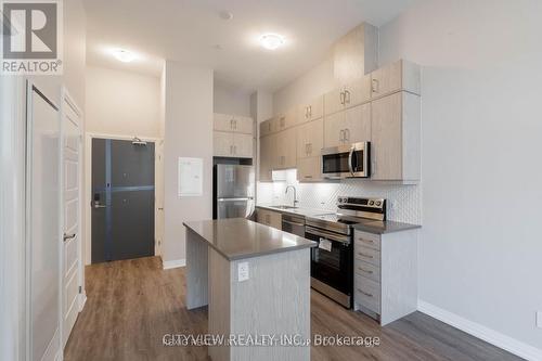 109 - 3265 Carding Mill Trail, Oakville, ON - Indoor Photo Showing Kitchen With Stainless Steel Kitchen With Upgraded Kitchen