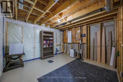 storage - 22 Cortland Terrace, St. Thomas, ON - Indoor Photo Showing Basement