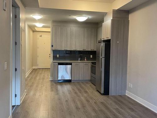 308-150 Main St W, Hamilton, ON - Indoor Photo Showing Kitchen