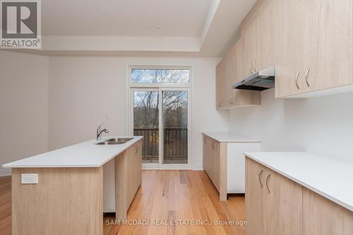 96 Salina Street, Mississauga, ON - Indoor Photo Showing Kitchen With Double Sink