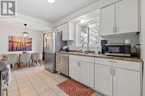 Main - 298 Homewood Avenue, Hamilton, ON - Indoor Photo Showing Kitchen With Double Sink