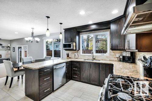 16 Westridge Cr Nw, Edmonton, AB - Indoor Photo Showing Kitchen With Double Sink With Upgraded Kitchen