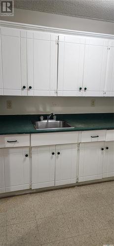 107 550 Laurier Street, Moose Jaw, SK - Indoor Photo Showing Kitchen With Double Sink