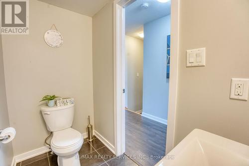 146 Crafter Crescent, Hamilton, ON - Indoor Photo Showing Bathroom