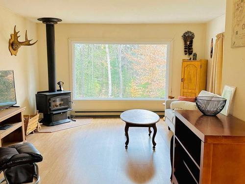 Living room - 14 Rue Du Joli-Trappeur, Sainte-Marguerite-Du-Lac-Masson, QC - Indoor Photo Showing Other Room With Fireplace