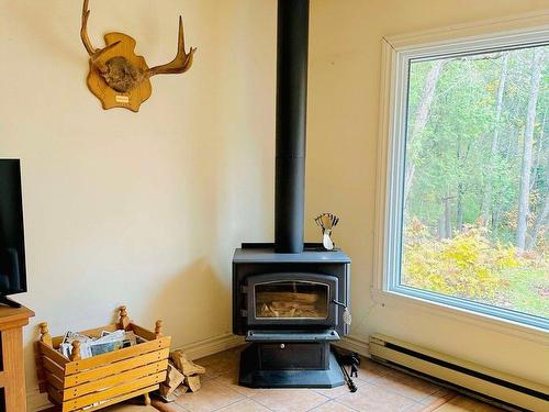 Living room - 14 Rue Du Joli-Trappeur, Sainte-Marguerite-Du-Lac-Masson, QC - Indoor Photo Showing Living Room With Fireplace