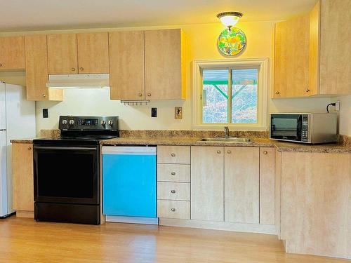 Kitchen - 14 Rue Du Joli-Trappeur, Sainte-Marguerite-Du-Lac-Masson, QC - Indoor Photo Showing Kitchen