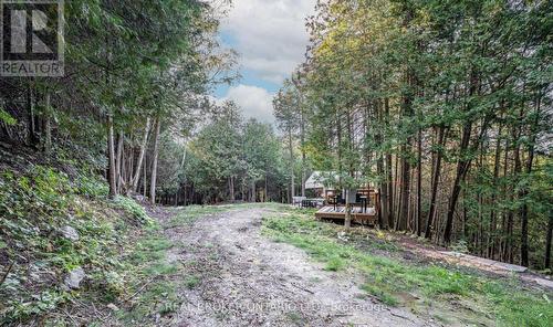 5703 10Th Side Road, Essa, ON 