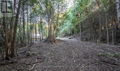 5703 10Th Side Road, Essa, ON 