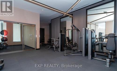 519 - 212 King William Street, Hamilton, ON - Indoor Photo Showing Gym Room