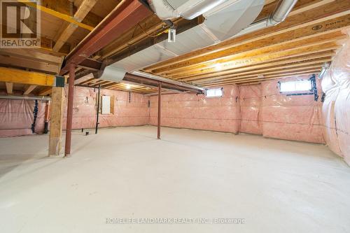 30 Betty May Crescent, East Gwillimbury, ON - Indoor Photo Showing Basement