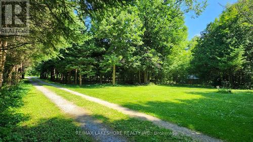 Lot 2 - 2853 13Th Line E, Trent Hills, ON - Outdoor